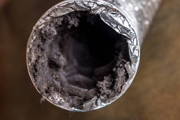 Best Air Vent Cleaning Services  in Myrtle Creek, OR